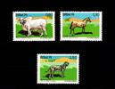 Brasilien Brasilien 1459-1461 postfrisch MiNr. 1459-1461 postfrisch -