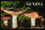 Guyana Guyana Block 142 postfrisch Pilze MiNr. Block 142 postfrisch Pilze -