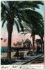 AK Nizza Promenade entre les Palmiers gebraucht -