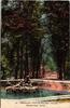 AK Versailles Bassin de l'Automne - Bacchus 1924 gebraucht -