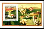 Zentralafrikanische Republik Zentralafrikanische Republik 1779 postfrisch Einzelblock / Pilze MiNr. 1779 postfrisch Einzelblock / Pilze -