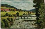 AK Schwarzwald im Frühling 1924 gebraucht -