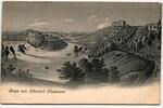 AK Neuhausen am Rheinfall 1905 gebraucht -