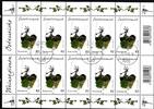 Österreich Österreich 3075 gestempelt Kleinbogen / Ersttagsstempel MiNr. 3075 gestempelt Kleinbogen / Ersttagsstempel -