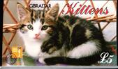 Gibraltar Gibraltar 787-792 gestempelt Markenheft 7 / Katze MiNr. 787-792 gestempelt Markenheft 7 / Katze -