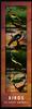 Guyana Guyana 8616-8619 postfrisch als Kleinbogen MiNr. 8616-8619 postfrisch als Kleinbogen -