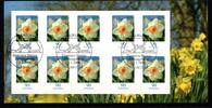 BRD BRD MH 61 gestempelt MiNr. MH 61 gestempelt -