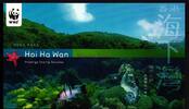 Hongkong WWF Markenheftchen mit Hongkong WWF Markenheftchen mit 1036-1039 C postfrisch Korallen MiNr. 1036-1039 C postfrisch Korallen -