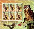 Korea Nord Korea Nord 5014 postfrisch als Kleinbogen, Eulen MiNr. 5014 postfrisch als Kleinbogen, Eulen -