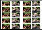 BRD Bund BRD Bund Flb. 3129-3130 postfrisch Folienblatt / Tierbabies MiNr. Flb. 3129-3130 postfrisch Folienblatt / Tierbabies -