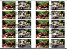 BRD Folienblatt 44 mit BRD Folienblatt 44 mit 3129-3130 gestempelt MiNr. 3129-3130 gestempelt -