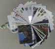Motiv Eulen Lot von 50 Stück auf Brief Postkarte oder Sonstiges -
