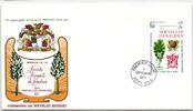 Neue Hebriden FDC 310 als Ersttagsbrief -