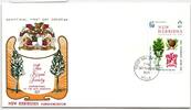 Neue Hebriden FDC 309 als Ersttagsbrief -