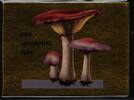 Schweiz Schweiz MH 0-99 postfrisch MiNr. MH 0-99 postfrisch -