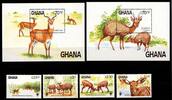 Ghana Ghana 1060-1063 und Block 111 und 112 postfrisch Wildtiere MiNr. 1060-1063 und Block 111 und 112 postfrisch Wildtiere -