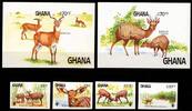 Ghana Ghana 1060-1063 und Block 111 und 112 B postfrisch Wildtiere MiNr. 1060-1063 und Block 111 und 112 B postfrisch Wildtiere -