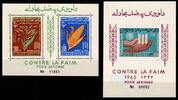 Afghanistan Afghanistan Block 39-40 postfrisch MiNr. Block 39-40 postfrisch -