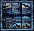 Aitutaki Aitutaki 848-859 postfrisch als ZD-Bogen, Wale MiNr. 848-859 postfrisch als ZD-Bogen, Wale -