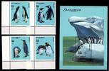 Somalia Somalia Block 77 + 868-871 postfrisch Pinguine MiNr. Block 77 + 868-871 postfrisch Pinguine -