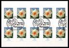 Bund Folienblatt 1 a Bund Folienblatt 1 a 2515 gestempelt mit ESSt Bonn 7.8.008 MiNr. 2515 gestempelt mit ESSt Bonn 7.8.008 -