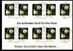BRD Bund BRD Bund 2851 gestempelt als Folienblatt 15 mit Ersttagsstempel Bremen MiNr. 2851 gestempelt als Folienblatt 15 mit Ersttagsstem -