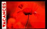 Frankreich Frankreich 4662-4675 postfrisch als Markenheftchen MiNr. 4662-4675 postfrisch als Markenheftchen -