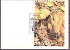 Guyana Guyana Block 143 Pilze Ersttagesbrief/FDC MiNr. Block 143 Pilze Ersttagesbrief/FDC -