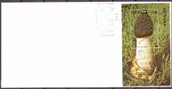 Guyana Guyana Block 105 Pilze Ersttagesbrief/FDC MiNr. Block 105 Pilze Ersttagesbrief/FDC -