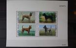 Thailand Thailand Block 52 mit 1574-1577 postfrisch Hunde MiNr. Block 52 mit 1574-1577 postfrisch Hunde -