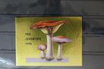 Schweiz Schweiz MH 0-99 mit 1537 gestempelt MiNr. MH 0-99 mit 1537 gestempelt -