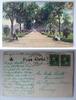 AK Chicago Illinois Lincoln Park 1911 gebraucht -