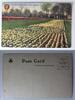 AK Chicago Illinois Tulip Beds Washington Park ungebraucht -