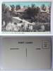 AK St. Paul Main Entrance to Como Park ungebraucht -