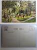 AK St. Paul Pathway in Como Park ungebraucht -