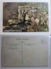 AK Co. Antrim Giant’s Well Giant’s Causeway ungebraucht -