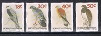 Bophuthatswana Bophuthatswana 223-226 postfrisch Vögel, Greifvögel MiNr. 223-226 postfrisch Vögel, Greifvögel -