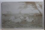    AK Deutschland Fotokunst 1913 gebraucht 