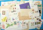 Lot Motiv Blumen 50 Belege/ Briefmarken Lot Motiv Blumen 50 Belege/ Briefmarken Blumen Blumen -