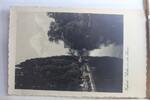 AK Erfurt Partie a. d. Gera 1931 gebraucht -