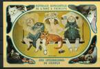 St. Tomé und Principe St. Tomé und Principe Block 77 B postfrisch MiNr. Block 77 B postfrisch -