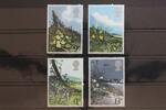 Großbritannien Großbritannien 785-788 postfrisch MiNr. 785-788 postfrisch -