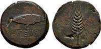 HISPANIA Æs ILIPENSE. -