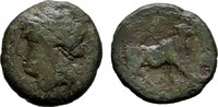 CAMPANIA Æs NEAPOLIS. -