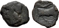 CAMPANIA Æs NEAPOLIS. -