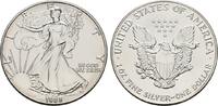 USA 1 Dollar -