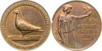 Brieftauben Bronzemedaille -