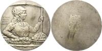 Wien, Stadt einseitige Bronzemedaille -