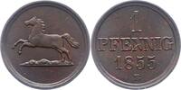Braunschweig-Wolfenbüttel Pfennig Wilhelm 1831-1884. -