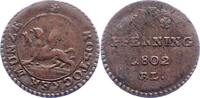Mecklenburg-Rostock, Stadt Pfennig -